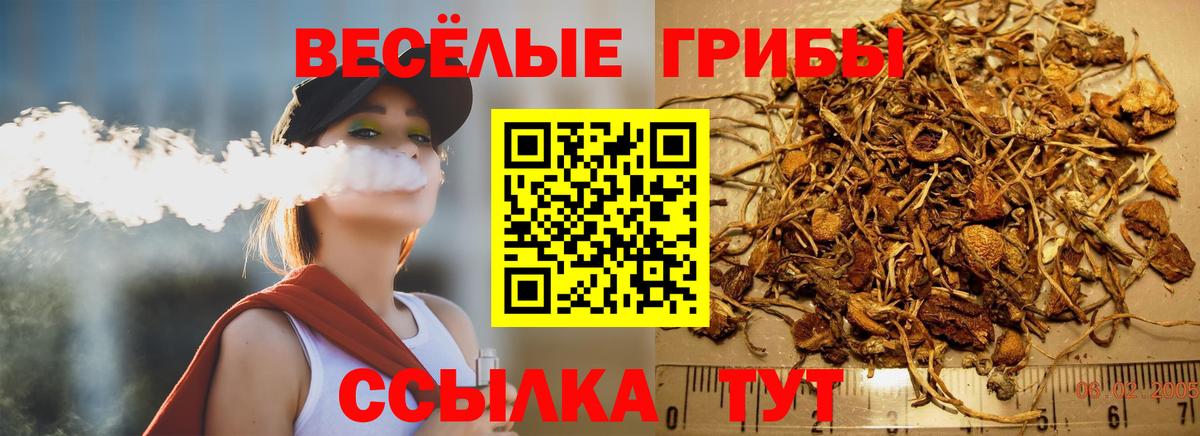 Галлюциногенные грибы Cubensis Кириши