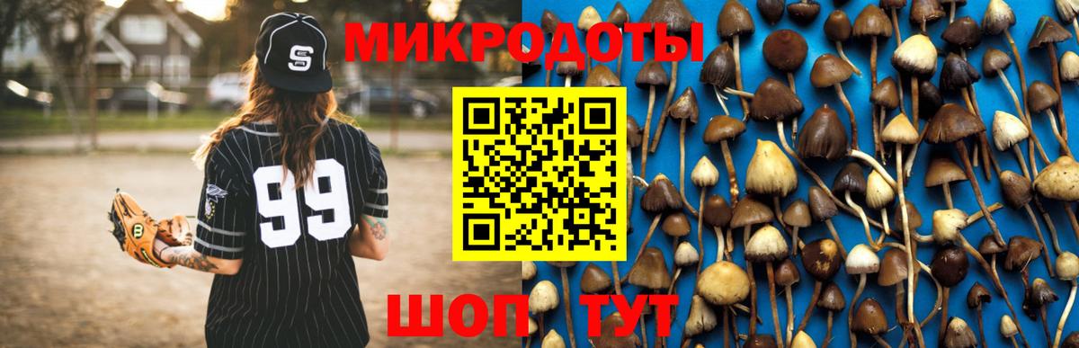 магазин  наркотиков  Псилоцибиновые грибы MAGIC MUSHROOMS  Галлюциногенные грибы Psilocybine cubensis  Вход с VPN  Кириши 